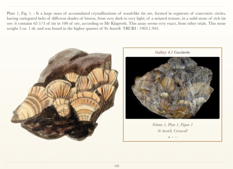 The Rashleigh Archive (digital books)